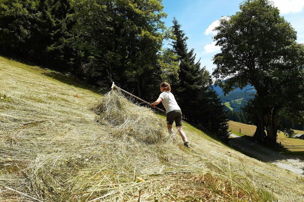 Landwirtschaft am Bio-Bauernhof in Filzmoos