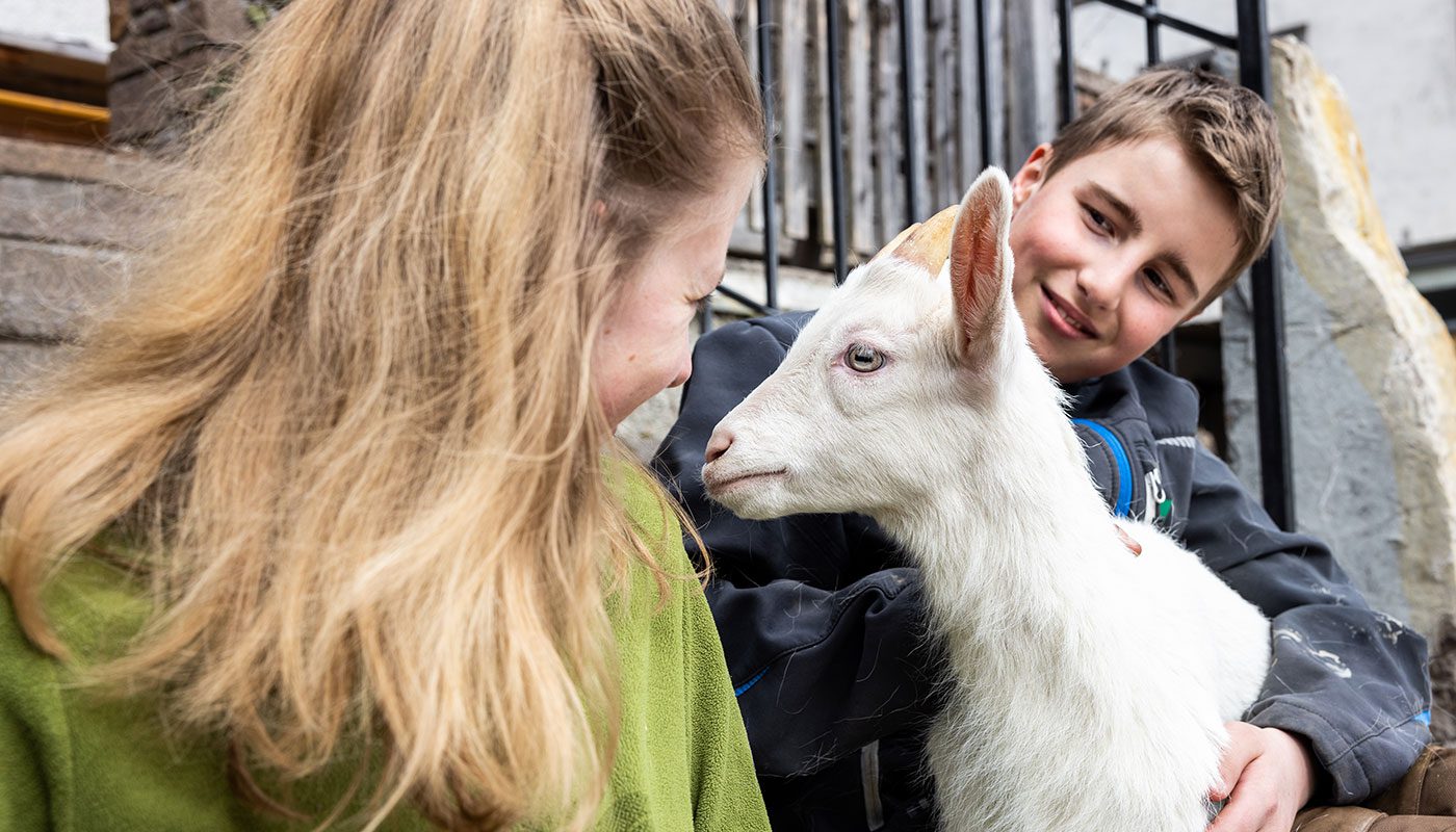 Tiere am Bio-Bauernhof in Filzmoos