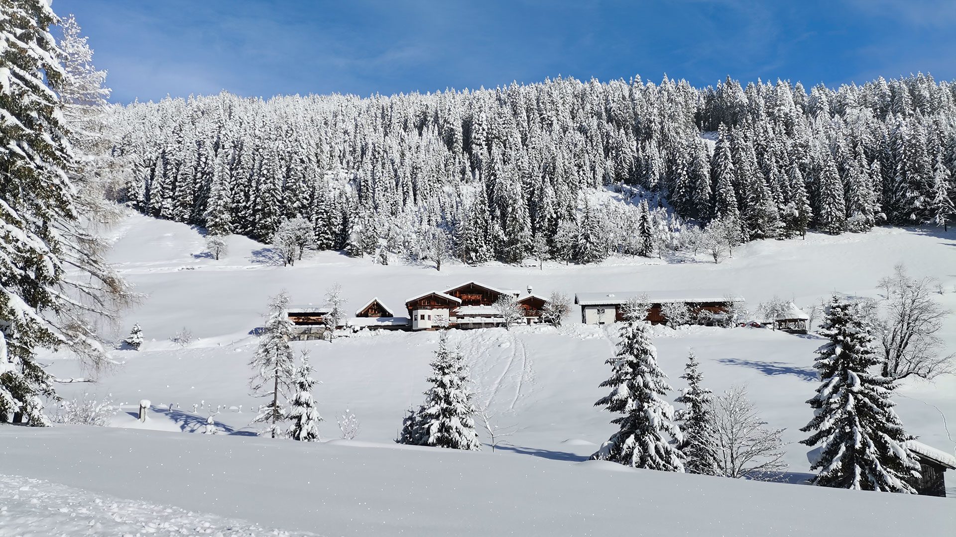 Gsenghof - Gasthof & Urlaub in Filzmoos