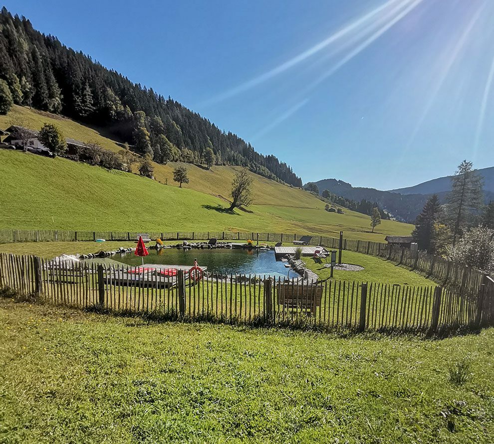 Natur-Schwimmteich am Gsenghof in Filzmoos