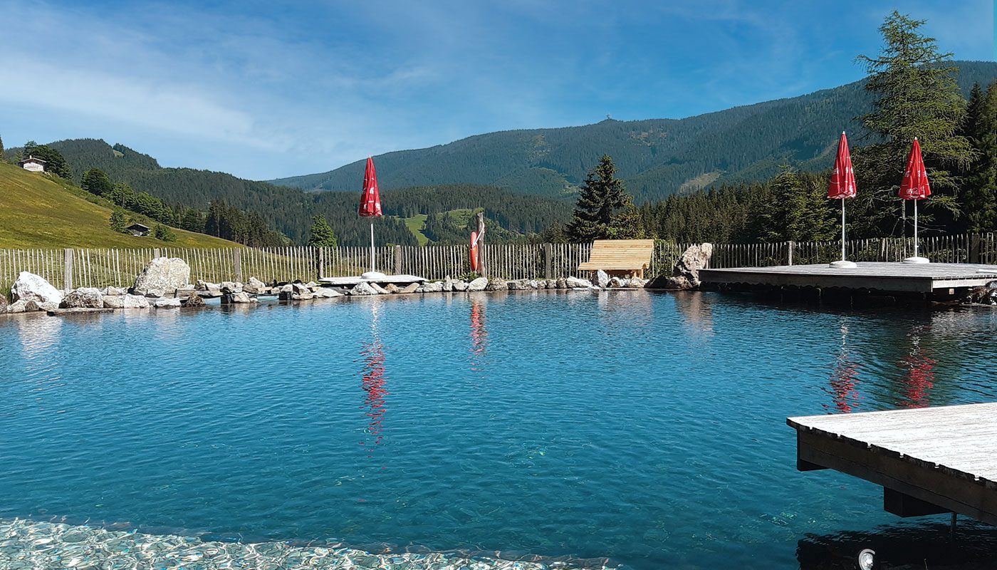 Natur-Schwimmteich am Gsenghof in Filzmoos