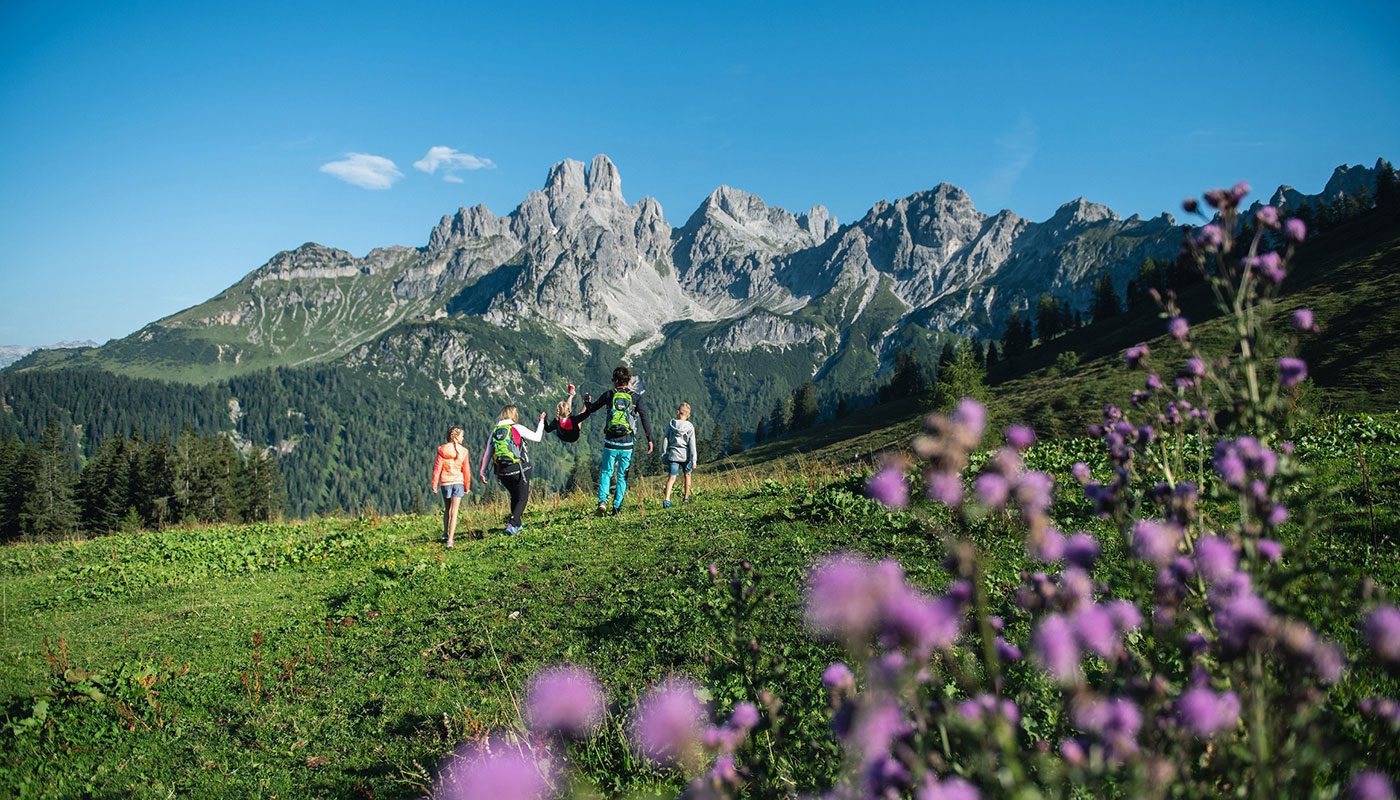 Wandern - Urlaub in Filzmoos, Salzburger Land